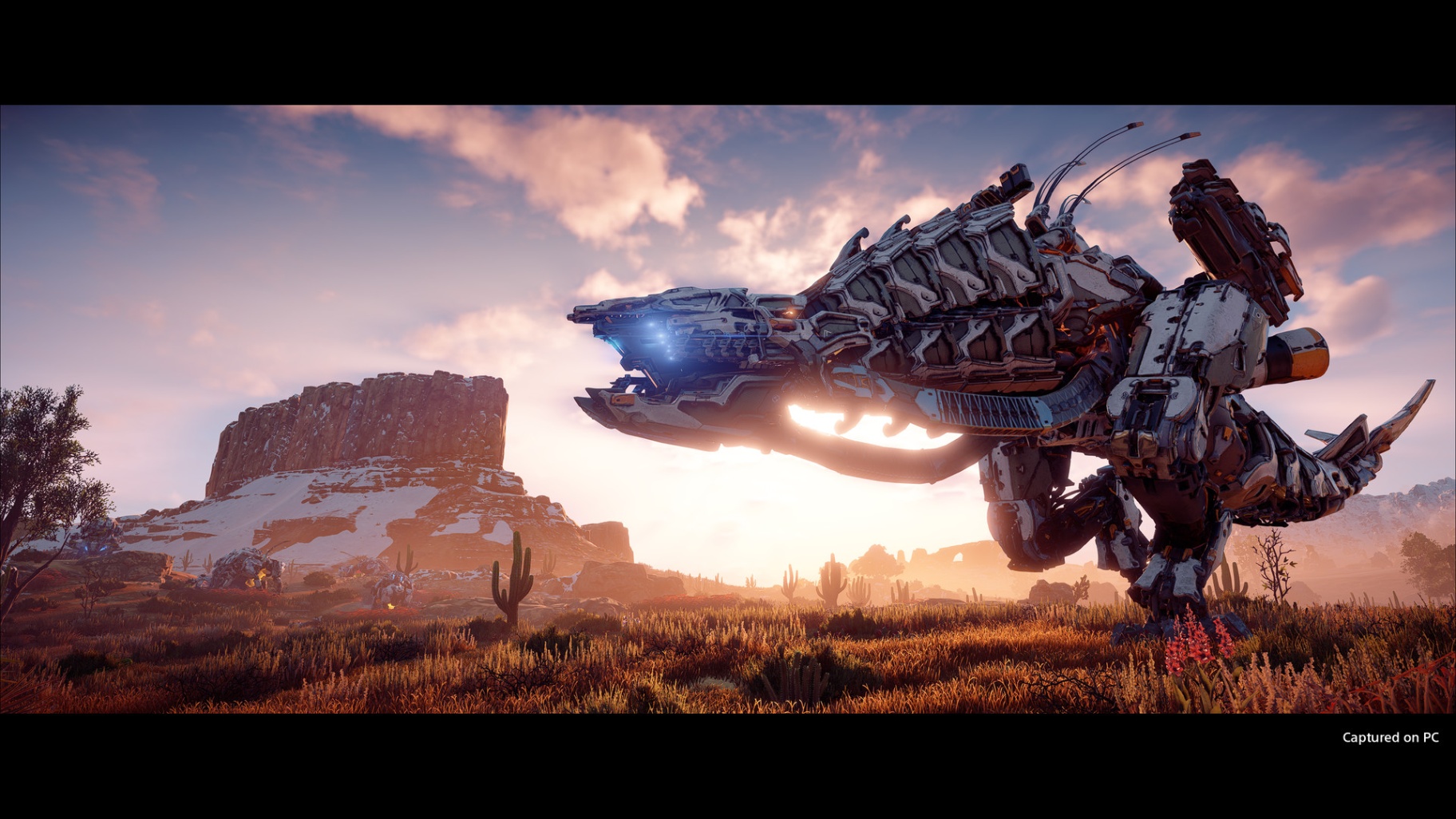 HORIZON ZERO DAWN™ COMPLETE EDITION