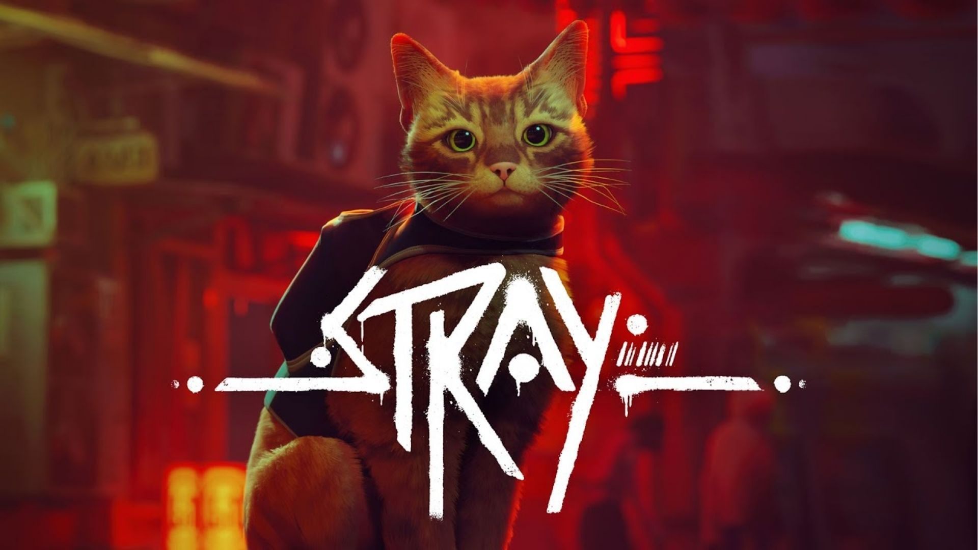 STRAY