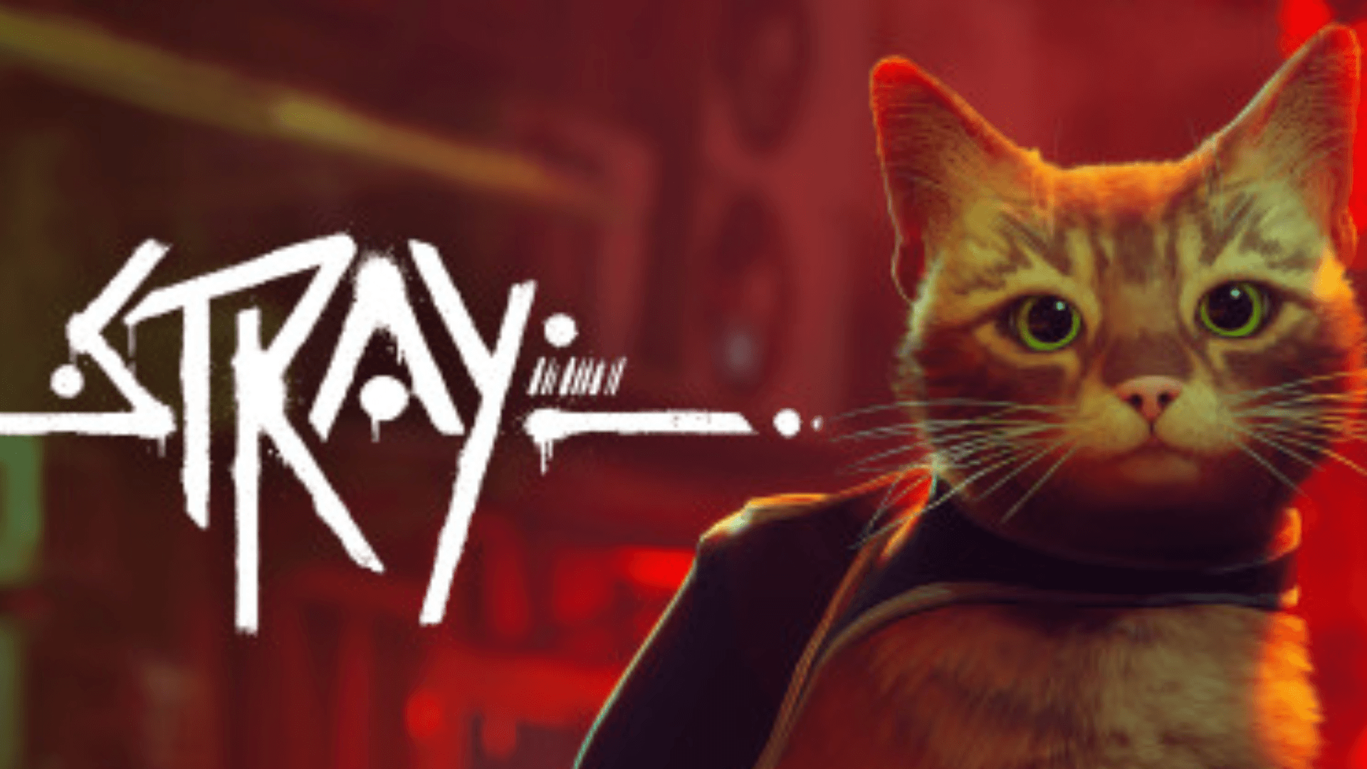 STRAY